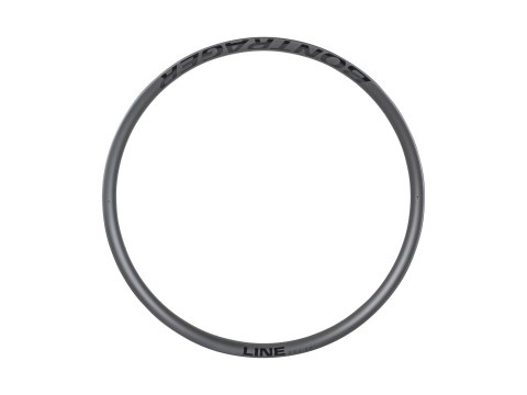 Bontrager Line Pro 30 TLR 29" Rim 29", Front or Rear 28 Carbon/Black