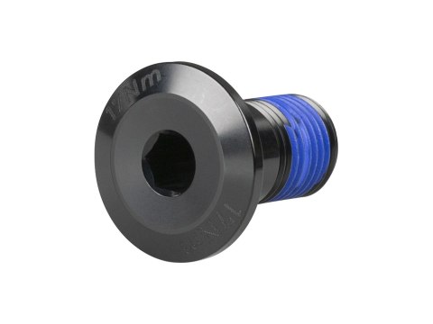 Trek M10x1 18.5mm Head Suspension Bolts M10 x 18mm Czarny 2024