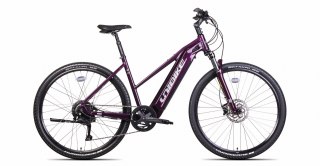 Unibike Falcon Damski Burgundowy 2024 (19")