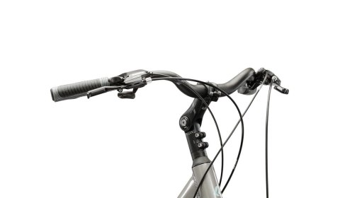 Kross Trans 3.0 Damski Szary Szary Połysk 2025 (L)