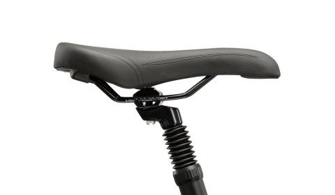 Kross Trans 3.0 Damski Szary Szary Połysk 2025 (L)