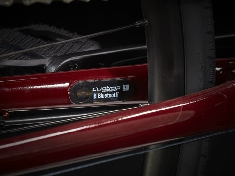 Trek FX 3 Disc Viper Red to Cobra Blood Fade 2023 (XL)