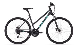 Kellys Clea 90 Graphite Grey 2025 (S)