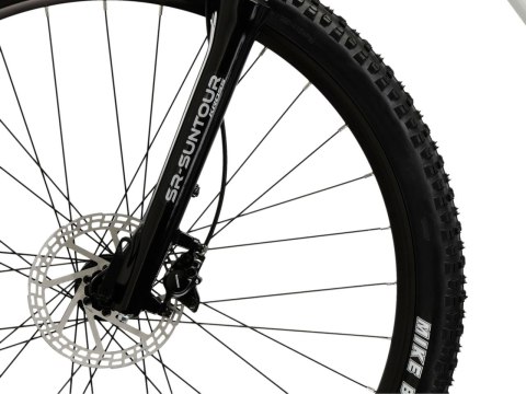 Kross Lea 4.0 29" Perłowy Fioletowy Połysk 2026 (L)