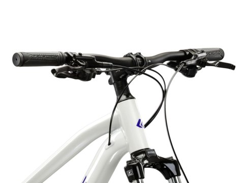Kross Lea 4.0 29" Perłowy Fioletowy Połysk 2026 (L)