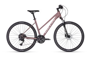 Kellys Pheebe 30 Rose Gold 2026 (S)