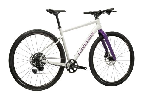 Kross Esker 1.0 FL Szary Fioletowy Połysk 2026 (XL)