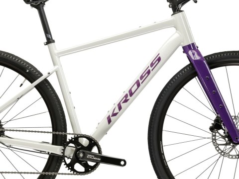 Kross Esker 1.0 FL Szary Fioletowy Połysk 2026 (XL)