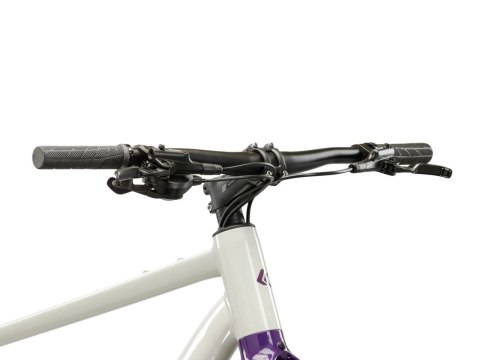 Kross Esker 1.0 FL Szary Fioletowy Połysk 2026 (M)