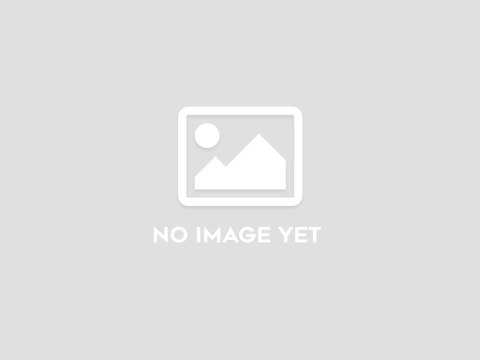 Elementy ochronne na ramę Chain Stay Protector MY27 Stance/Embolden E+