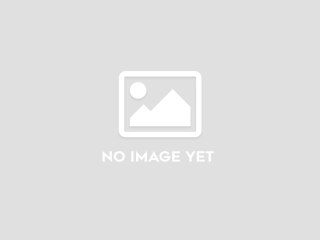 Elementy zawieszenia GSG006 ARM JP0019 25G9-Anthem Advanced 29 4 G-RM2502